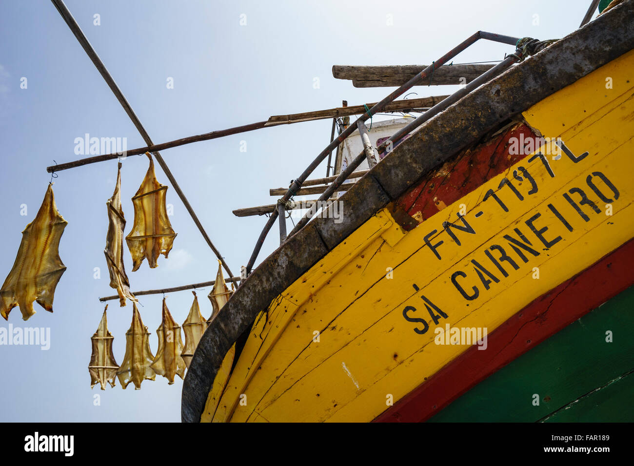 Madeira - capital city Funchal. Local 'gata' fish drying in the sun (Portuguese cat shark, or dogfish) at Camara de Lobos. Stock Photo