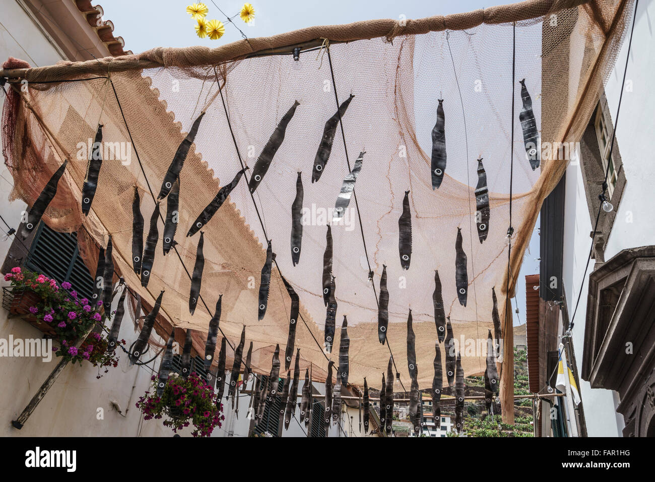Madeira - Camara de Lobos fishing port, festival of St Peter. Town decorated with paper espada fish. Stock Photo