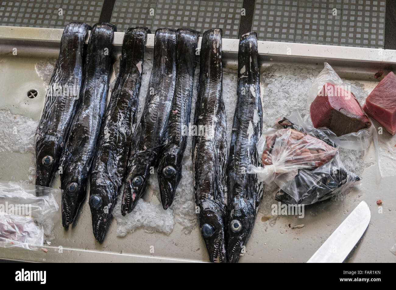 Madeira - capital city Funchal. Local Espada (Scabbard) fish for sale in the market. Stock Photo
