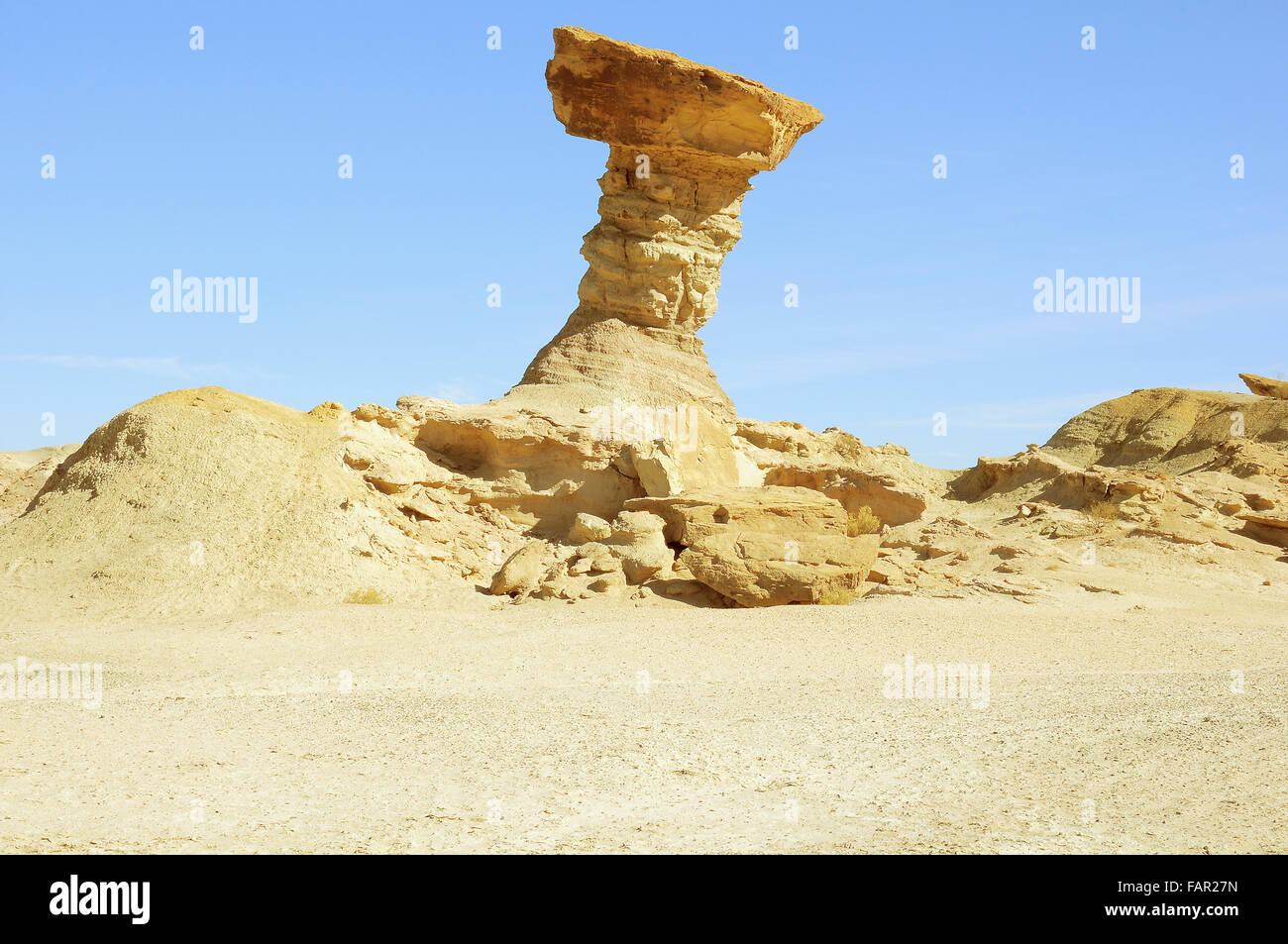 Mushroom rock formation in Moon valley at sunrise time. Ischigualasto ...