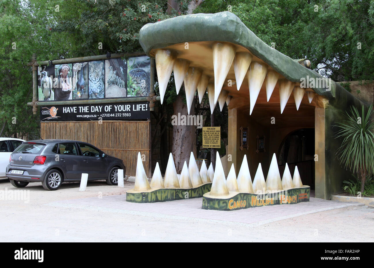 Cango Wildlife Ranch at Oudtshoorn in South Africa Stock Photo Alamy