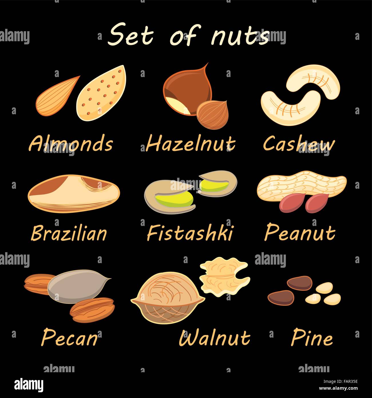 large set of various nuts with the names on a black background Stock Vector