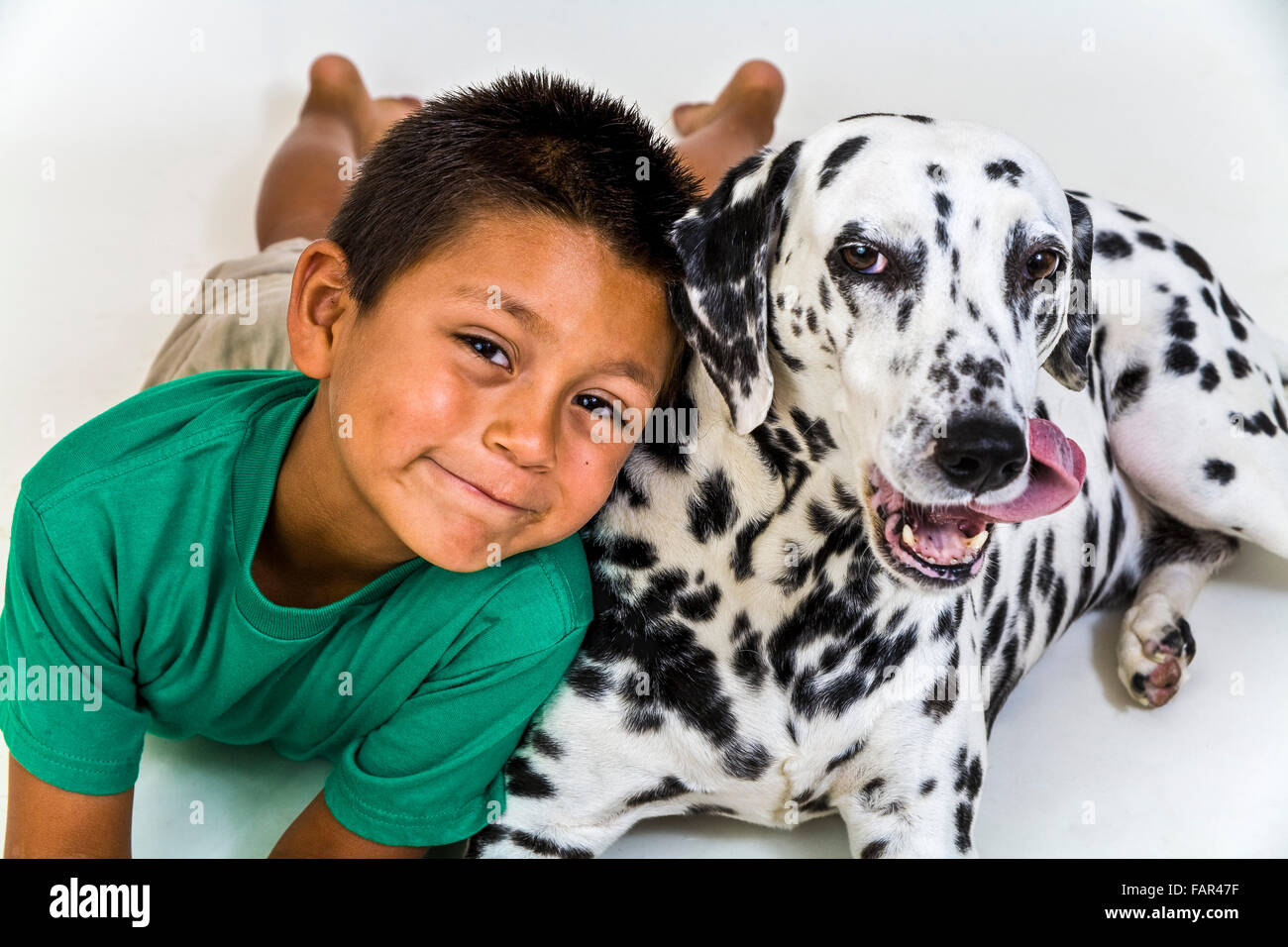 Young Mexican American Hispanic boy wearing green shirt Dalmatian  child playing play plays dog Cut out high above front view MR ©Myrleen Pearson Stock Photo