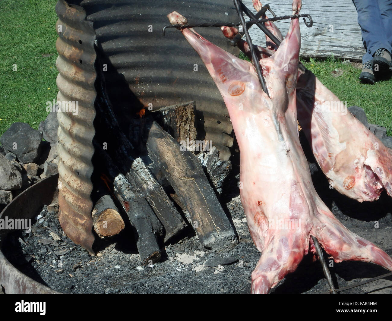 Whole lamb on skewer roasting over open flames in bbq pit. Stock Photo