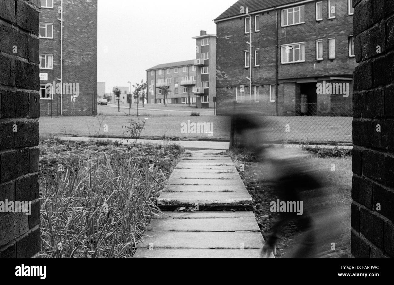 The Boulevard, Buttershaw Estate, Bradford, West Yorkshire, UK. A sprawling local authority 1950 The Boulevard, Buttershaw Estate, Bradford, West Yorkshire, UK. A sprawling local authority 1950