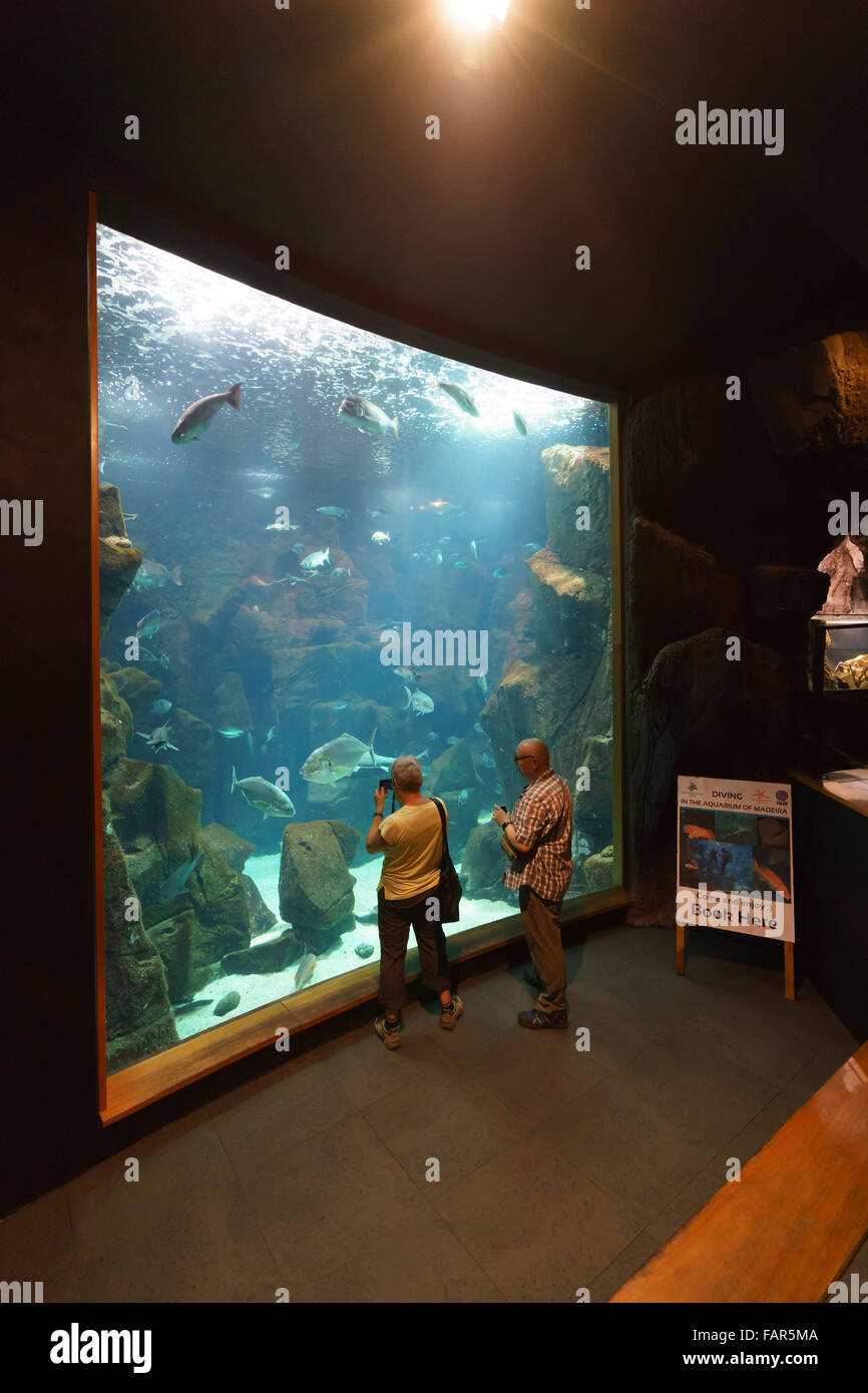 Madeira - Porto Moniz, the castle aquarium Stock Photo - Alamy