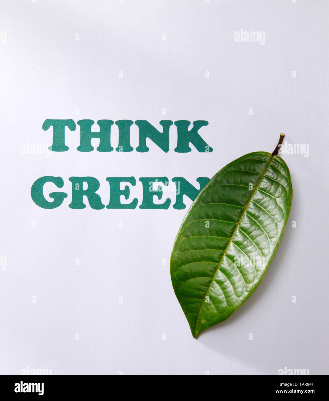 stock image of the recycle to save tree Stock Photo Alamy