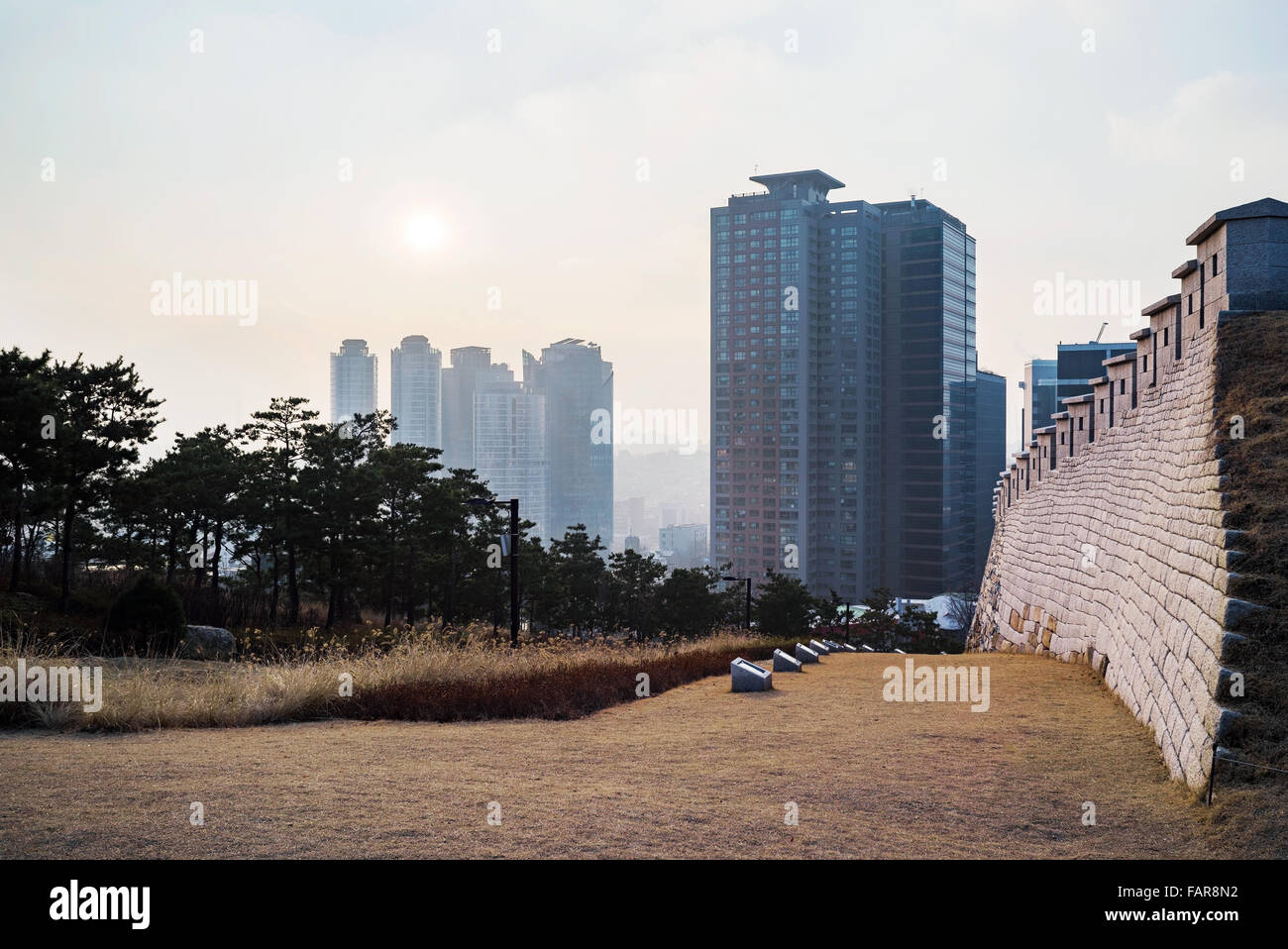 beautiful sunset in Namsan park with buildings in the background Stock Photo