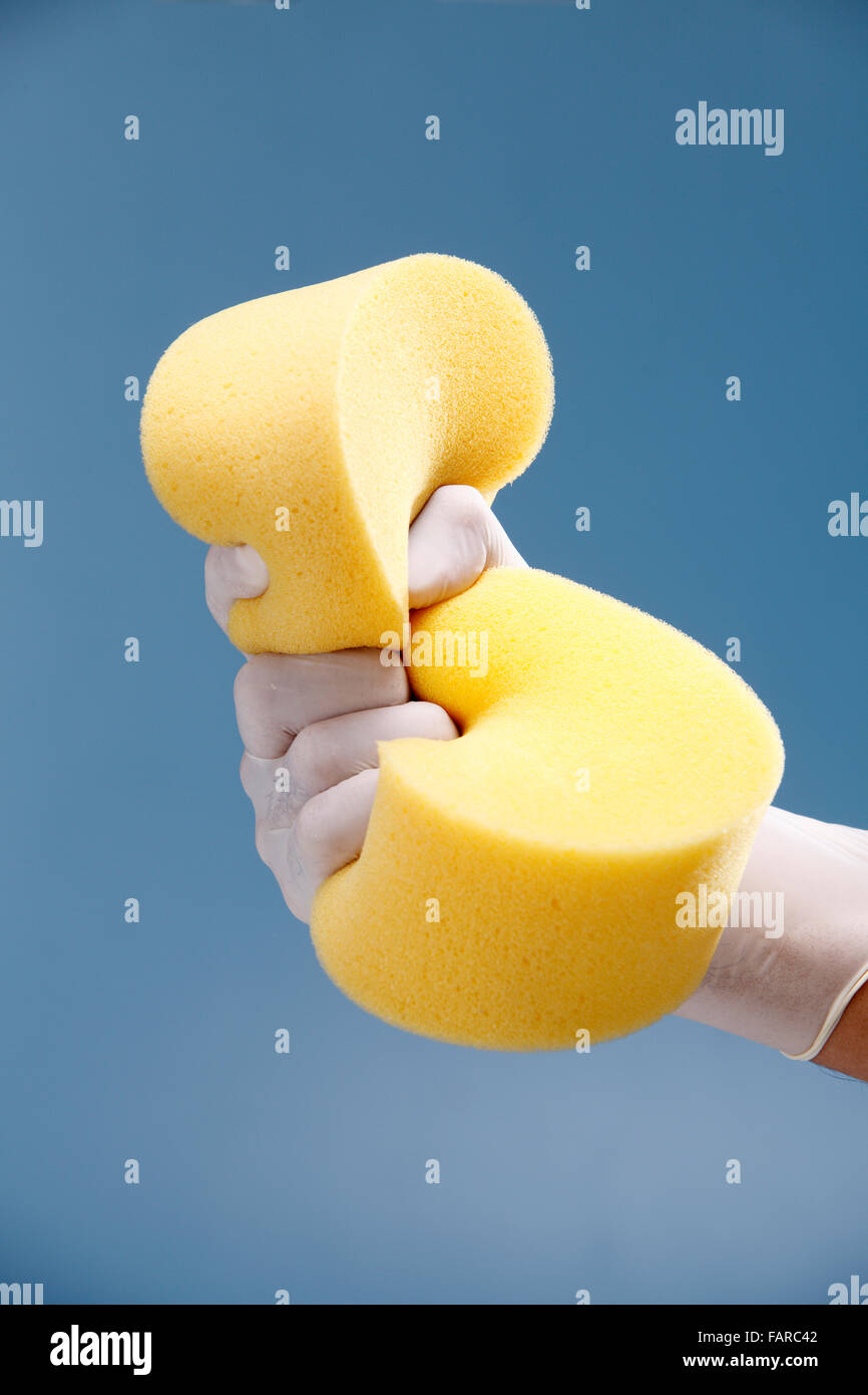 Hand with white protective rubber glove holding a yellow sponge Stock ...