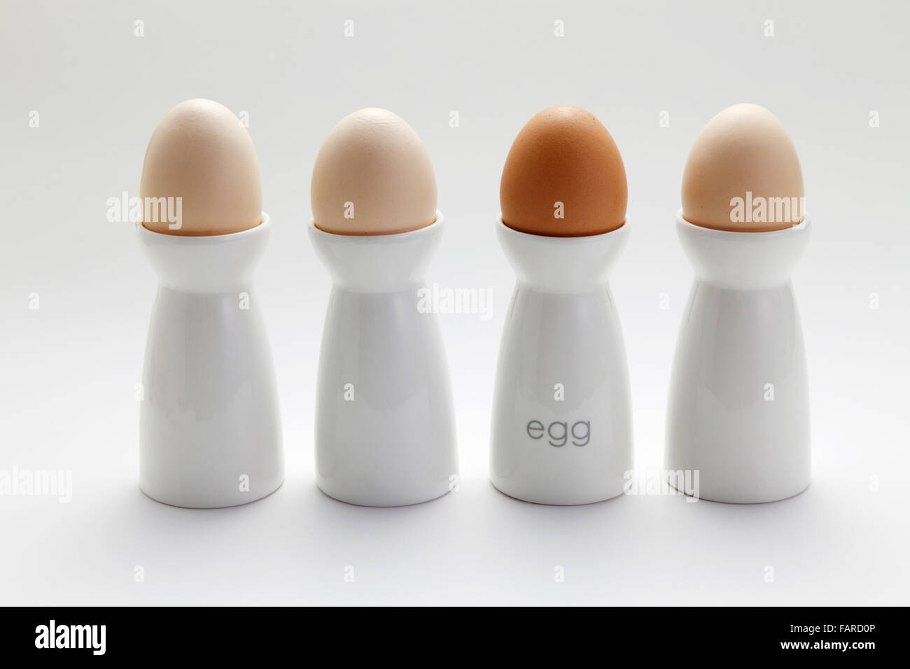 stock image of the egg in a cup Stock Photo Alamy