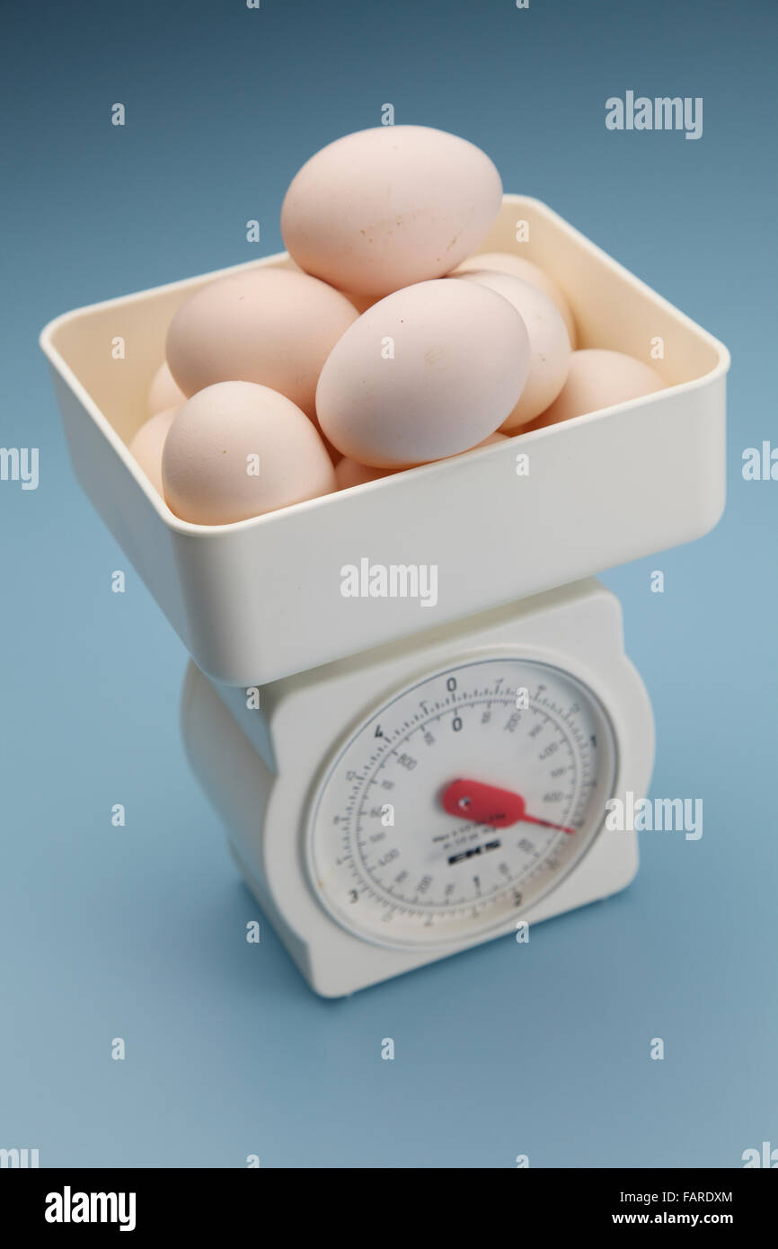 https://c8.alamy.com/comp/FARDXM/stock-image-of-the-egg-on-the-scale-FARDXM.jpg
