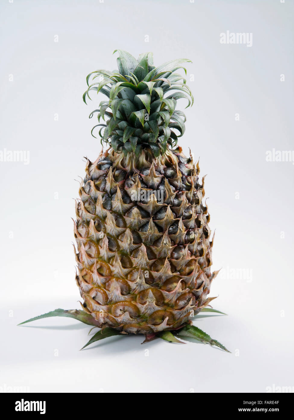 Pineapple on white with soft shadow Stock Photo