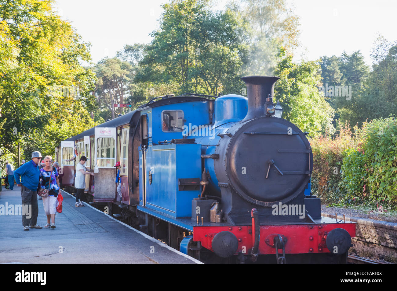 England, Cumbria, Lake District, Windermere, Lakeside, Steam Train of the Lakeside and Haverthwaite Railway Stock Photo