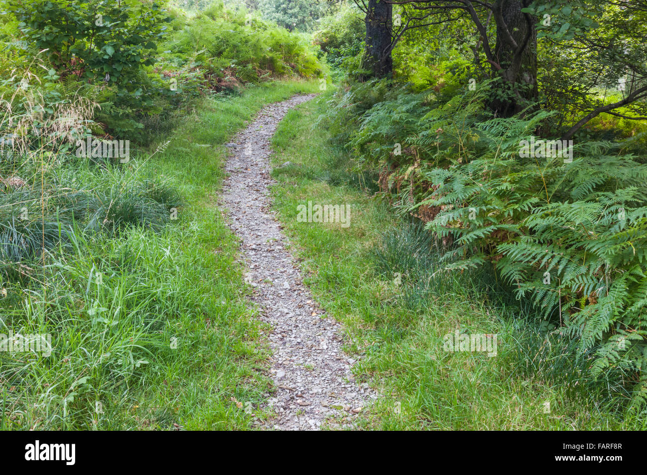 England, Cumbria, Lake District, Ullswater, Typical Hiking Trail Stock Photo