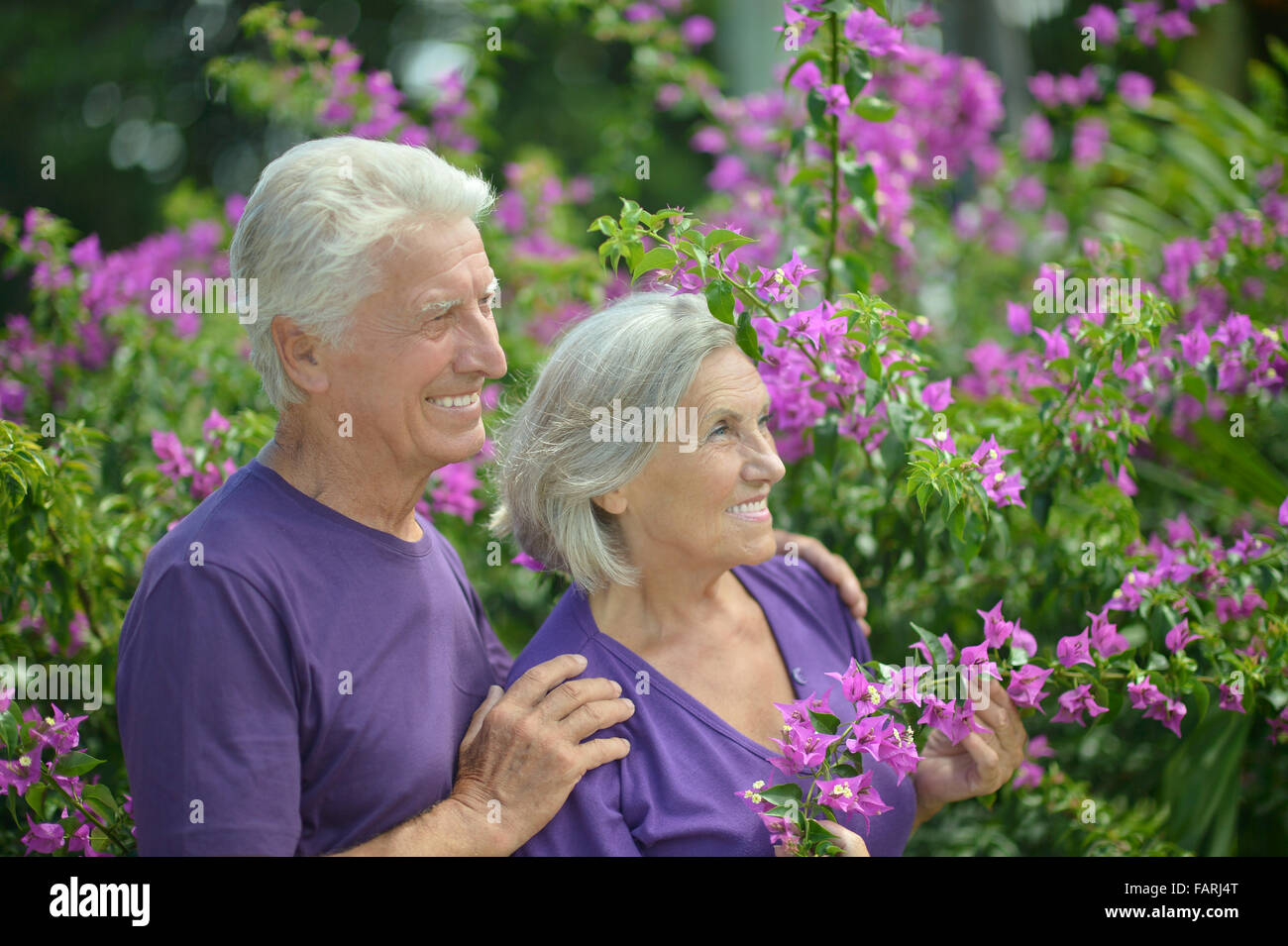 Senior couple in summer park Stock Photo - Alamy