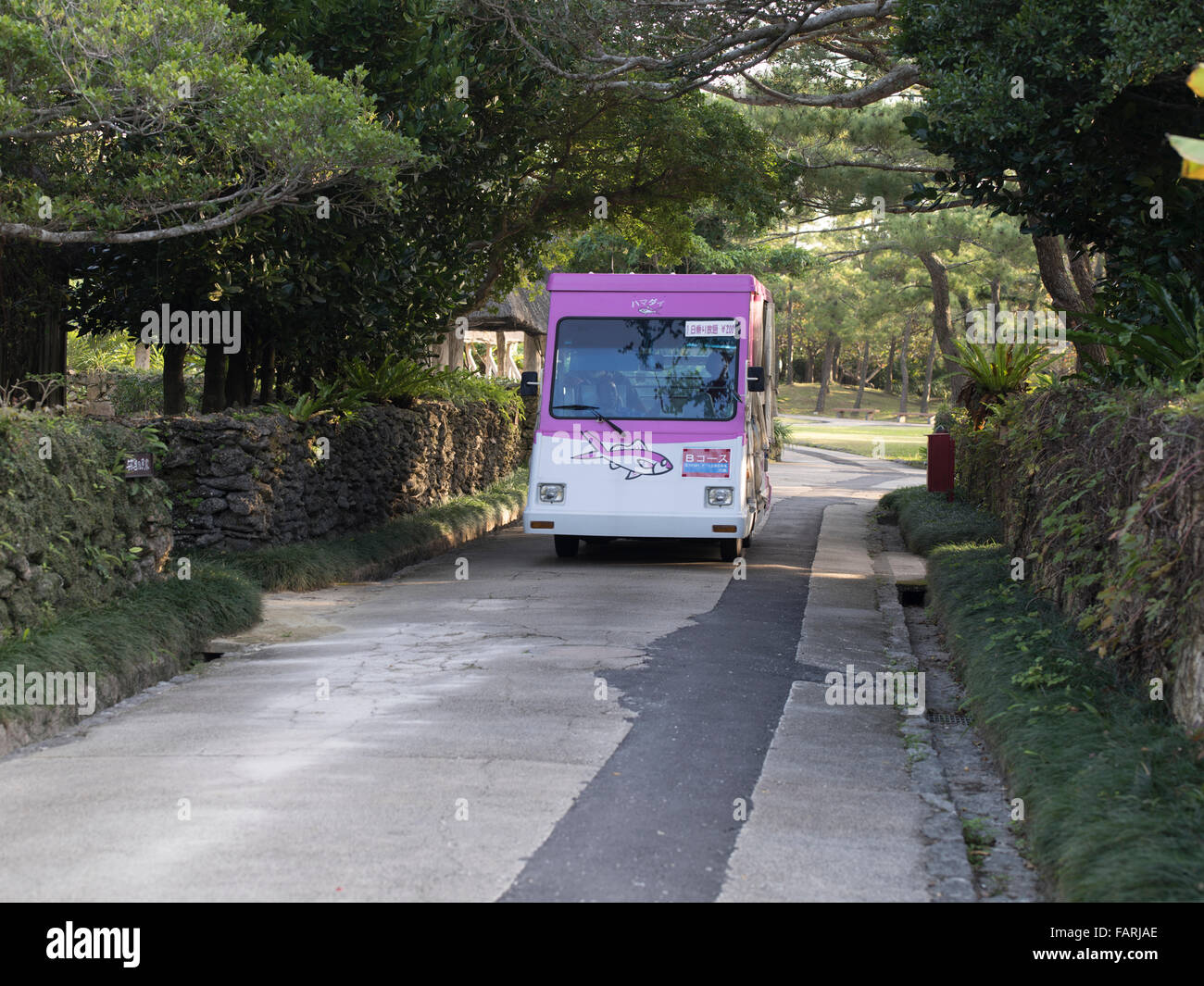 Electric shuttle buses at Okinawa Expo Park, botanical gardens and aquarium, Motobu, Okinawa, Japan Stock Photo
