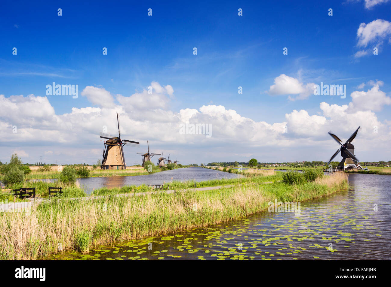 Traditional Dutch windmills on a bright and sunny day at the Kinderdijk in The Netherlands. Stock Photo
