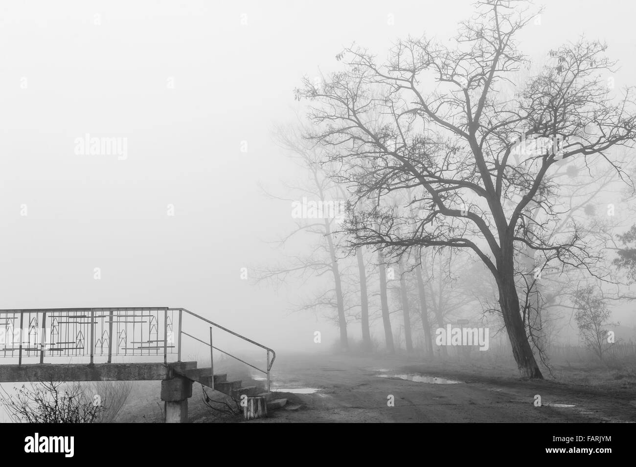 Silhouette bridge and tree in the fog. Black and white Stock Photo - Alamy