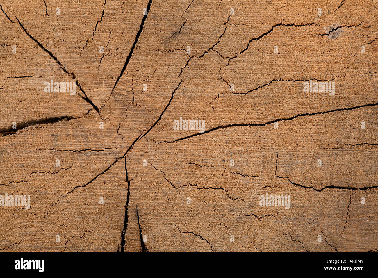 oak wood grain background or brown wooden texture Stock Photo