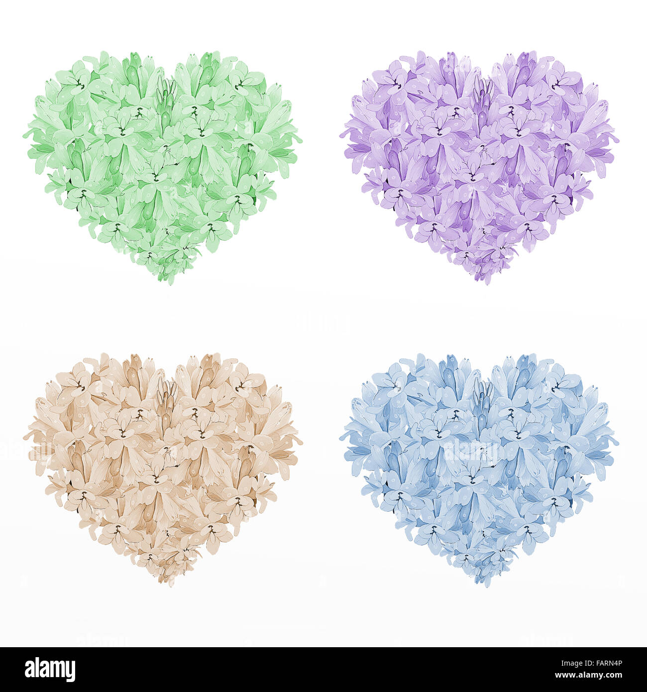 Four Colors of Heart Shape Tuberose Flowers,on A White Background (Green, Violet, Brown and Blue Colors) Stock Photo