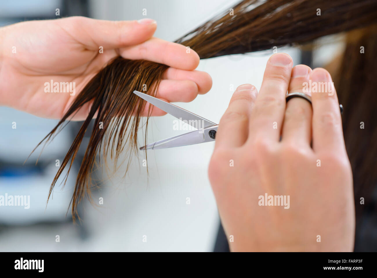 Hair trimming procedure in progress Stock Photo Alamy