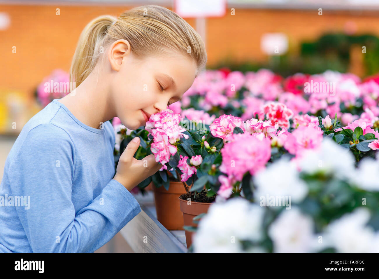 Little girl inhaling flower scent Stock Photo Alamy
