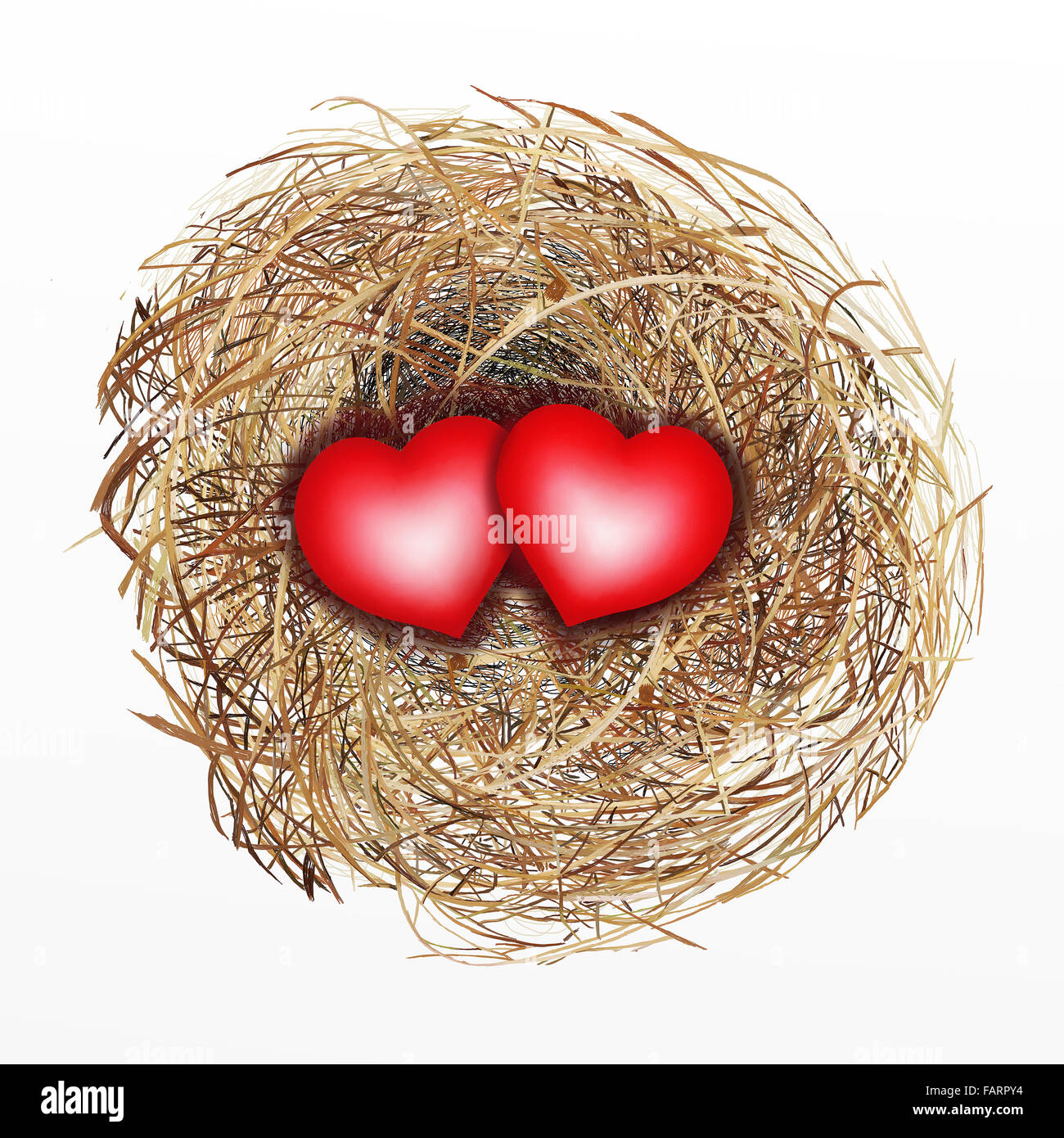 Love Concept, Two Heart in Bird Nest Isolated on A White Background Stock Photo