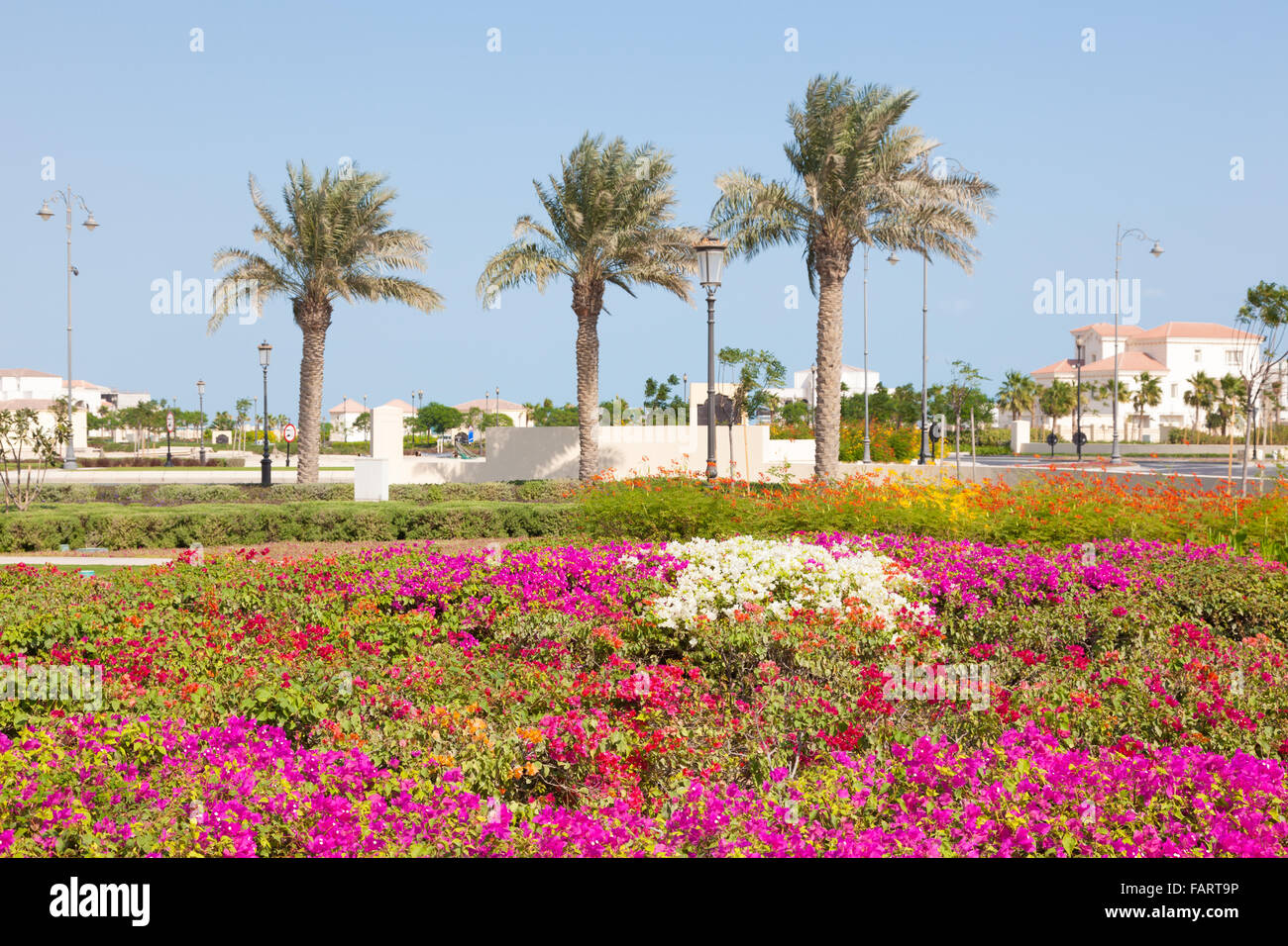 Flowers at The Pearl in Doha, Qatar Stock Photo Alamy