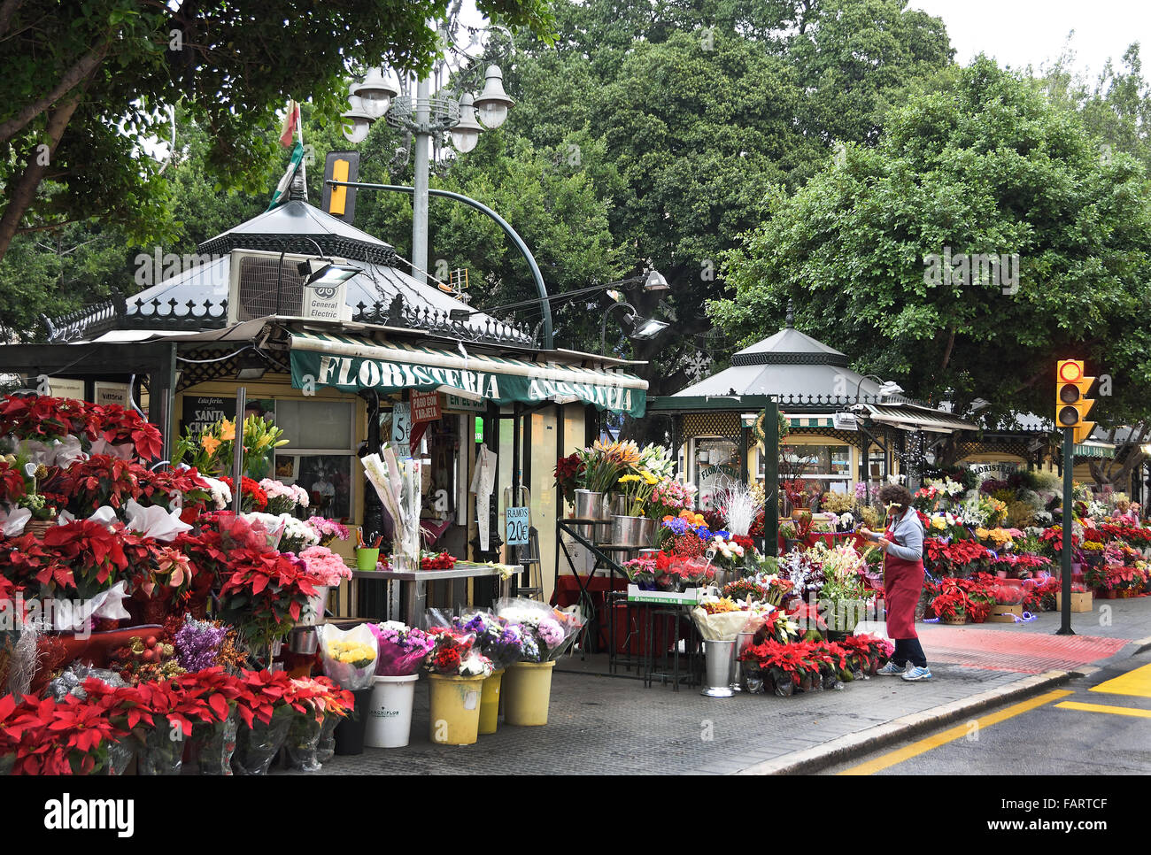 Daily outdoor Flower Market  Malaga Spanish Spain Andalusia Stock Photo