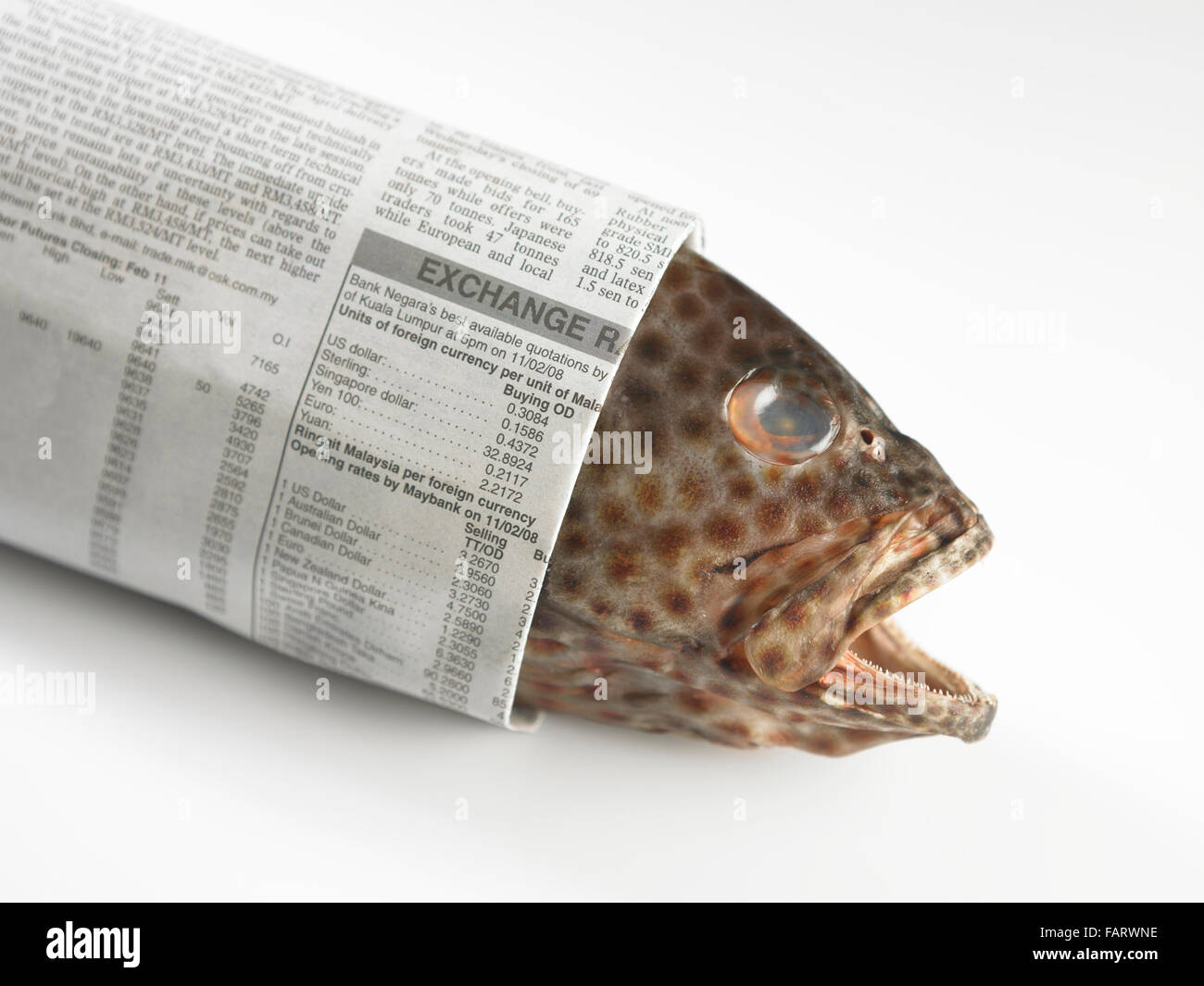 Здесь рыбу заворачивали. Рыба завернутая в газету. Завернутая рыба. Во что заворачивают рыбу. Газета в которую рыбу заворачивали.