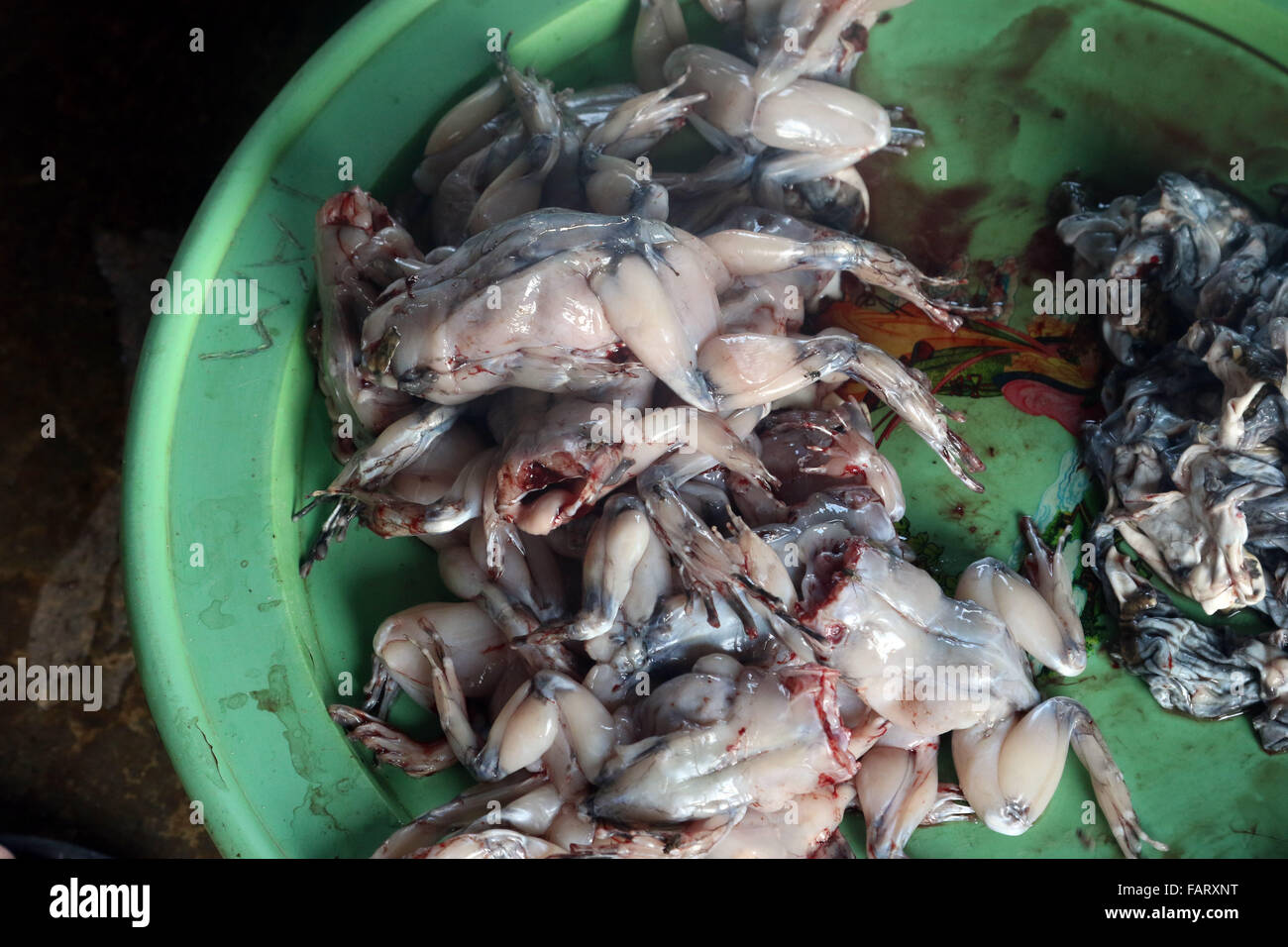 skinned frogs toads for sale market food Vietnamese Stock Photo