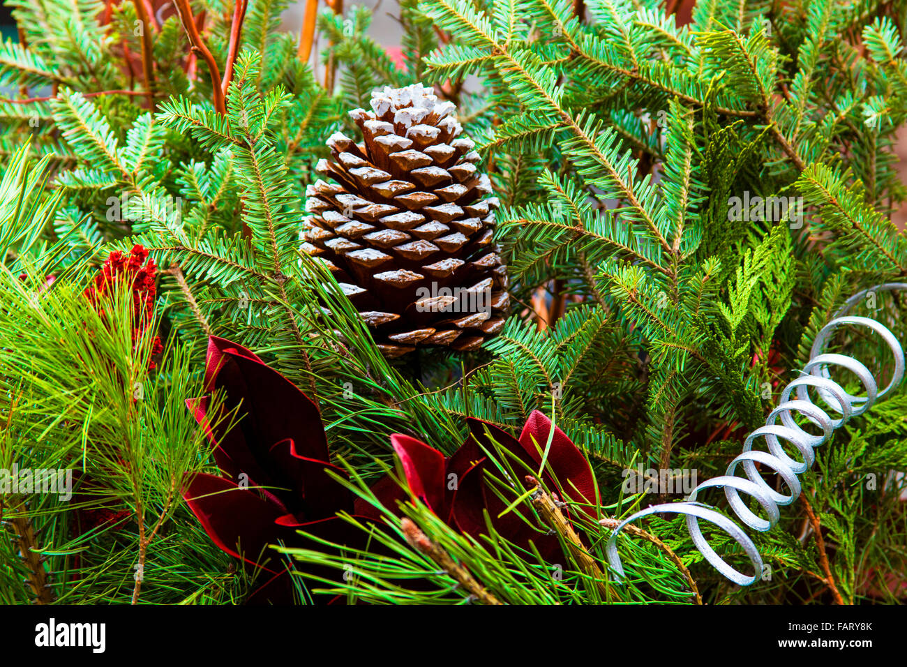 Pine cone christmas decoration Stock Photo