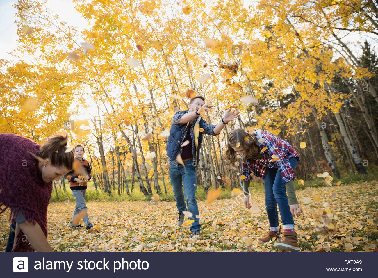 Family playing throwing autumn leaves Stock Photo - Alamy