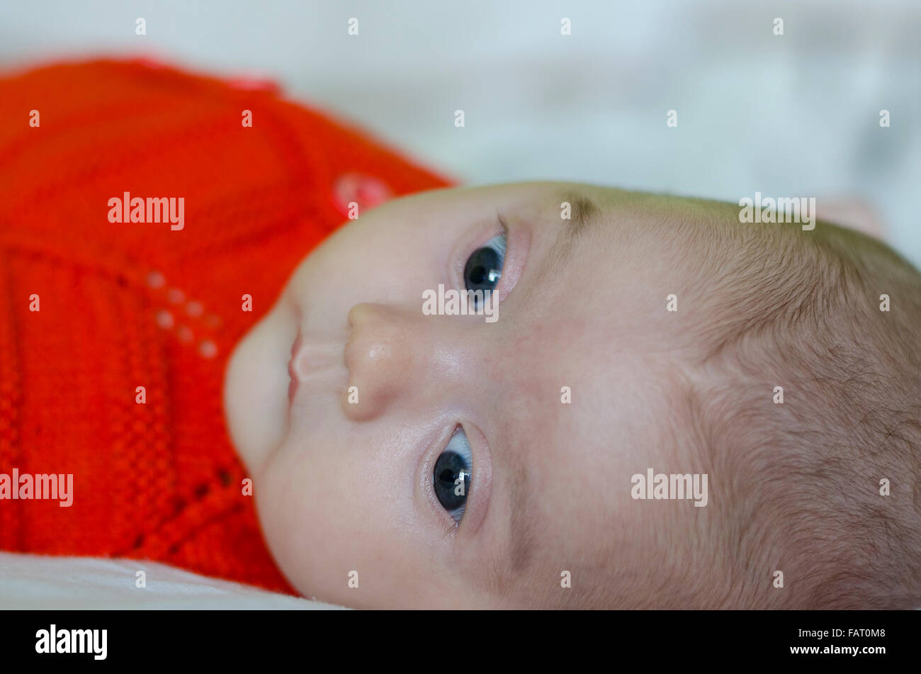 A cute little baby‘s profile Stock Photo