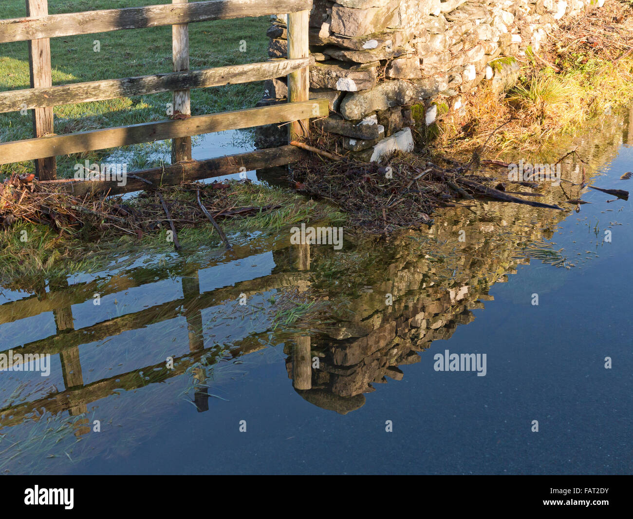 Flood water at the base of drystone wall and field gate with mirror like reflection with blue sky Stock Photo