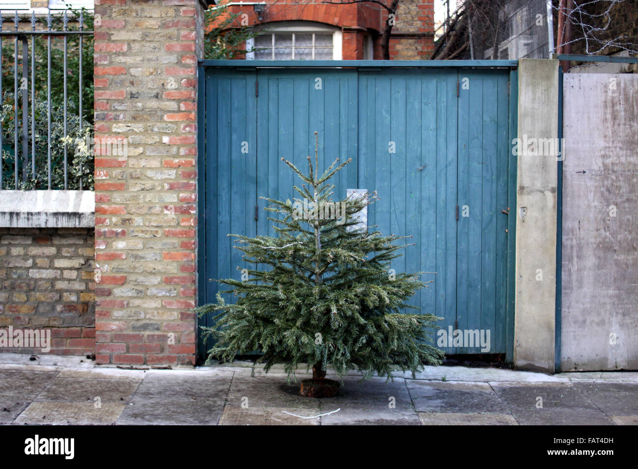 Dump christmas tree hires stock photography and images Alamy