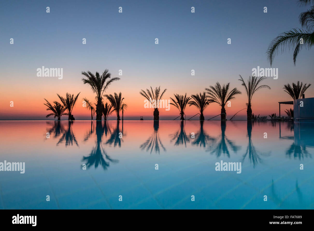 Cyprus, Pafos, Paphos, King Evelthon hotel. Palmtree reflection in swimming pool Stock Photo