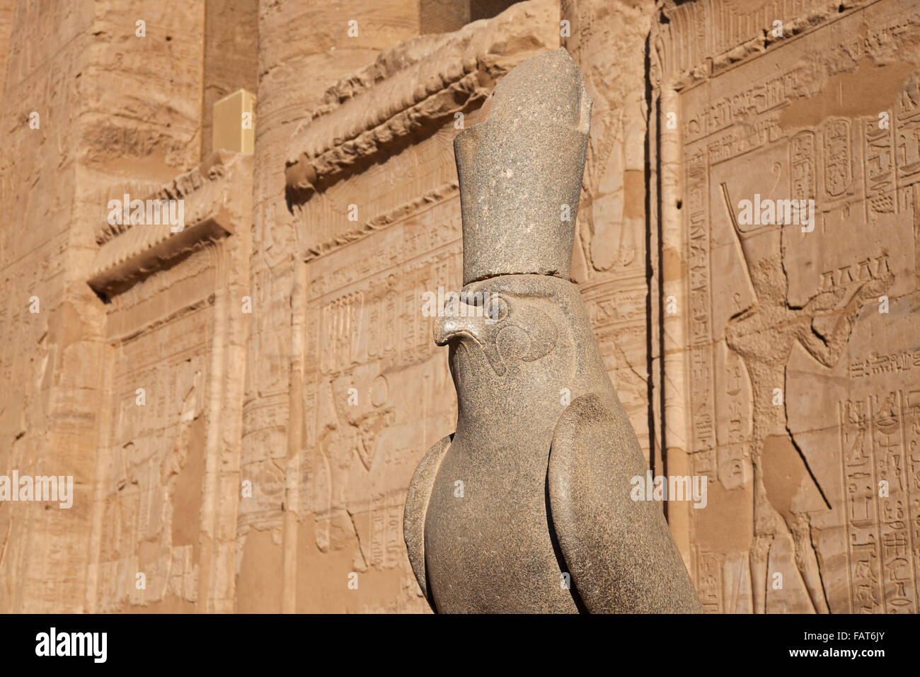 Statue of the falcon god Horus at the Temple of Edfu, Egypt Stock Photo