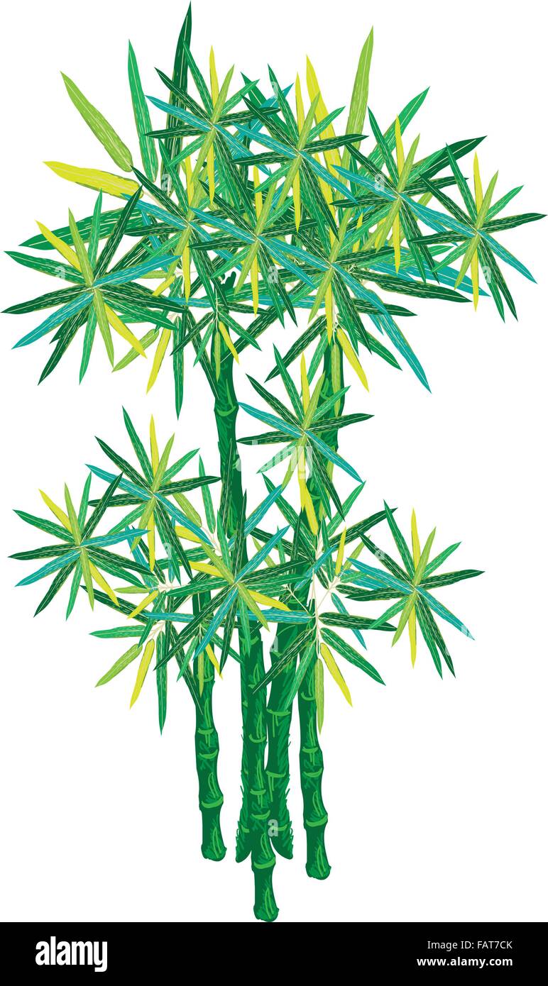 An Illustration of Landscaping Tree Symbol or Isometric of Bamboo Tree