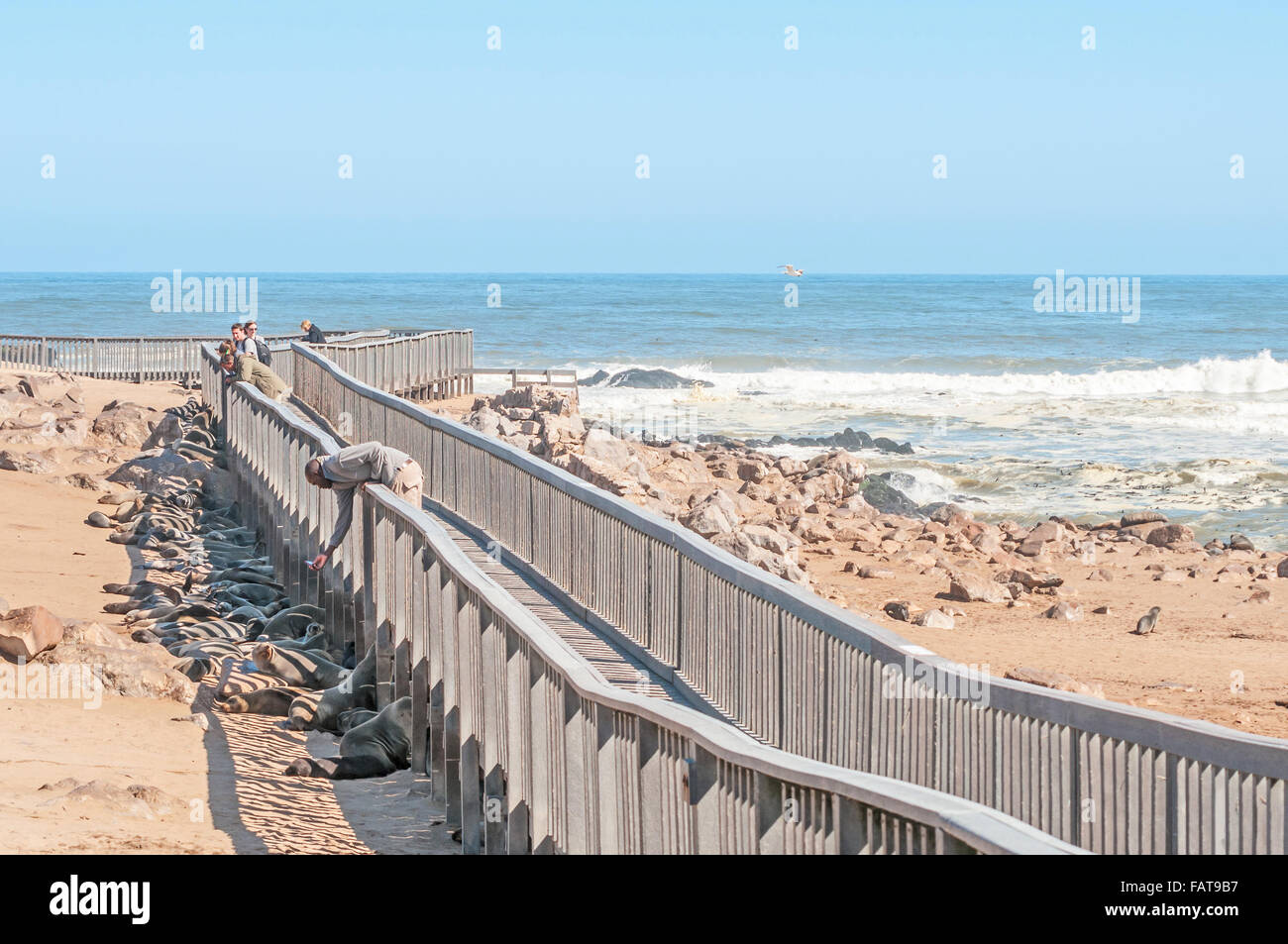 CAPE CROSS, NAMIBIA - JUNE 7, 2011: Unidentified visitors on the boardwalk at Cape Cross. Cape Fur Seals hide for the sun in the Stock Photo