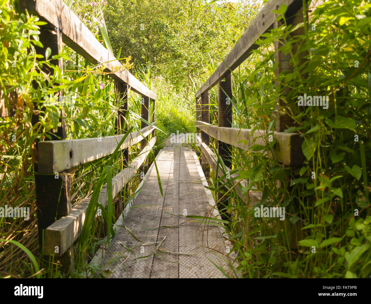 Bridge across the creek Stock Photo - Alamy