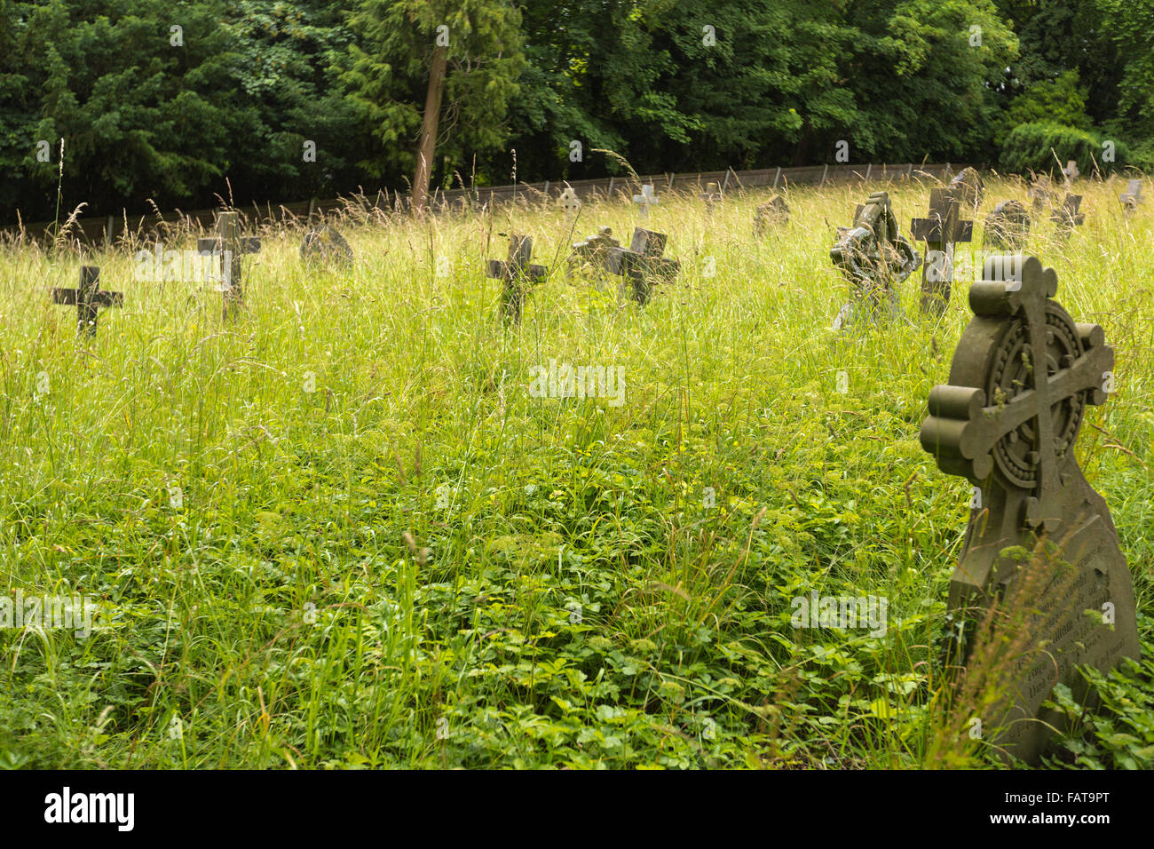 Graveyard overgrown with lush green grass Stock Photo