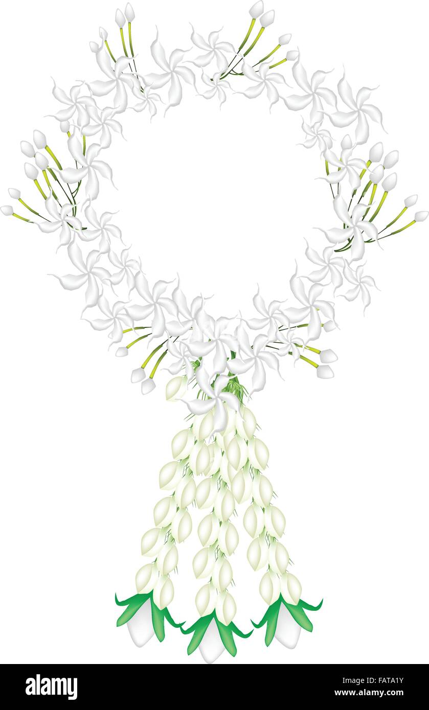 A Symbol of Love and Luxury, An Illustration of Beautiful Flower Garland with White Common Gardenias or Cape Jasmine Flowers and Stock Vector