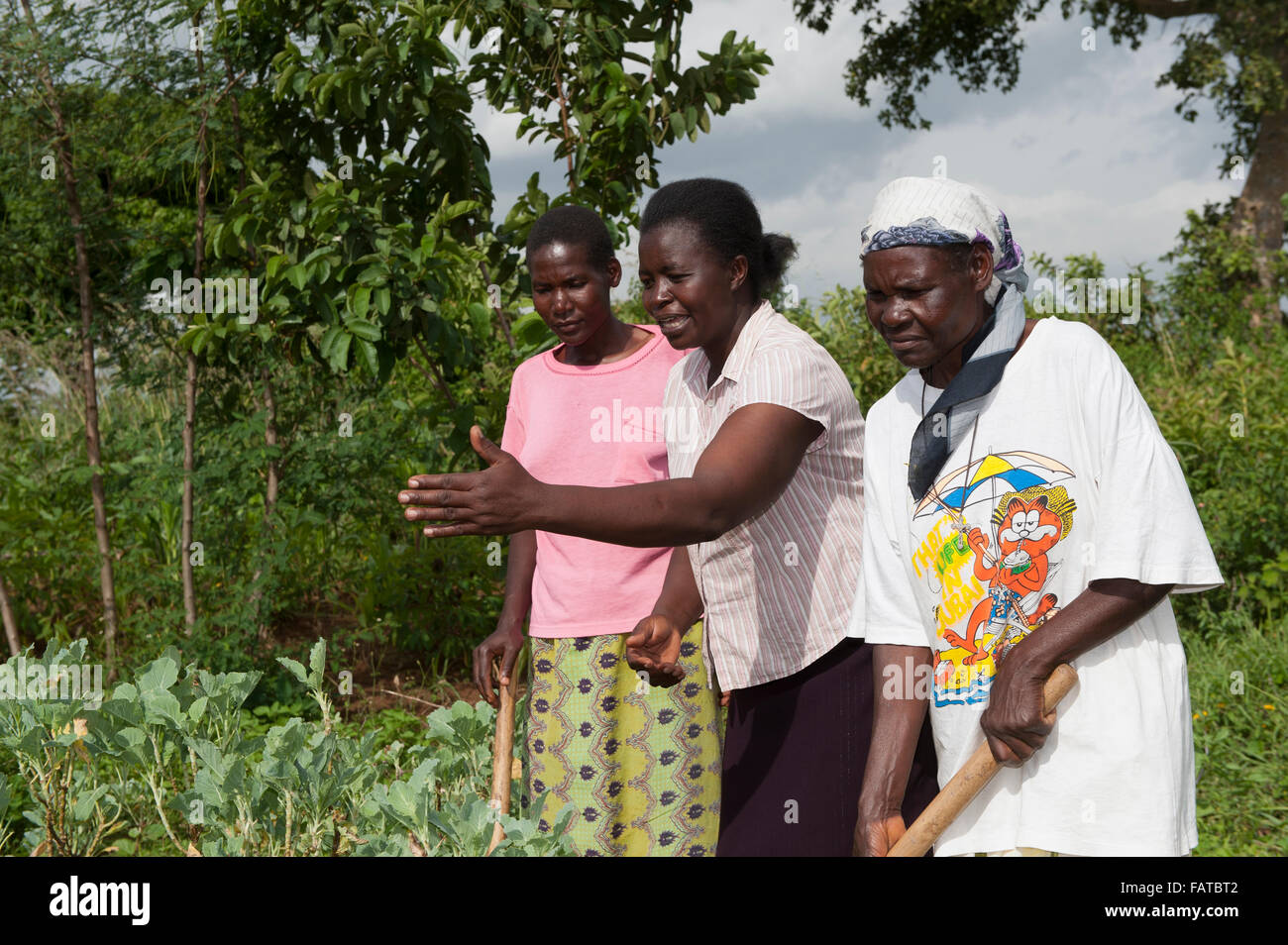 Two lady farmers being given advice by an agricultural expert about how best to grow their Kale crop. Kenya. Stock Photo