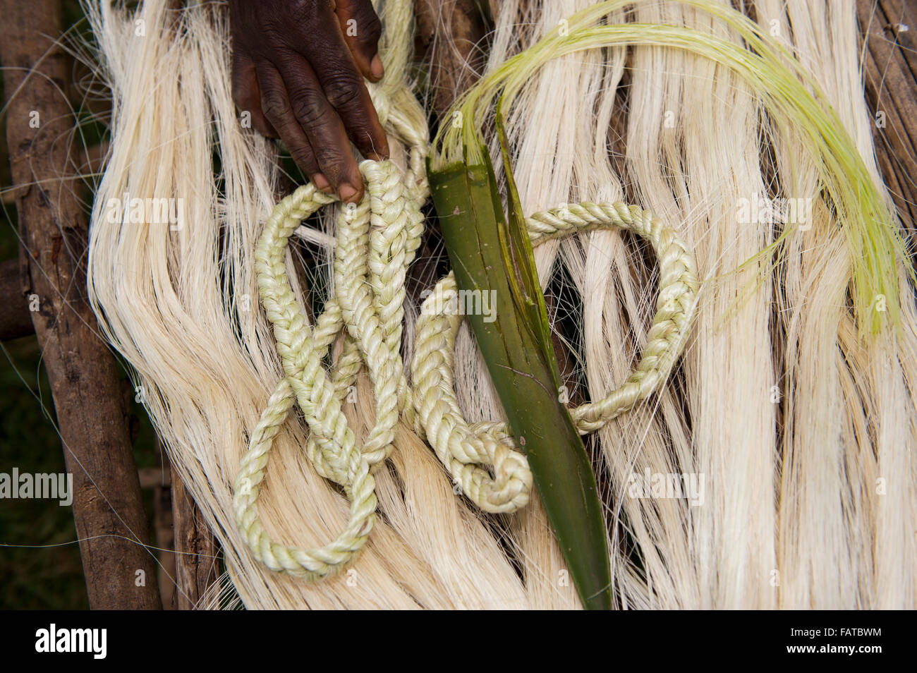 Sisal fibres and rope ready for the market. Kenya Stock Photo
