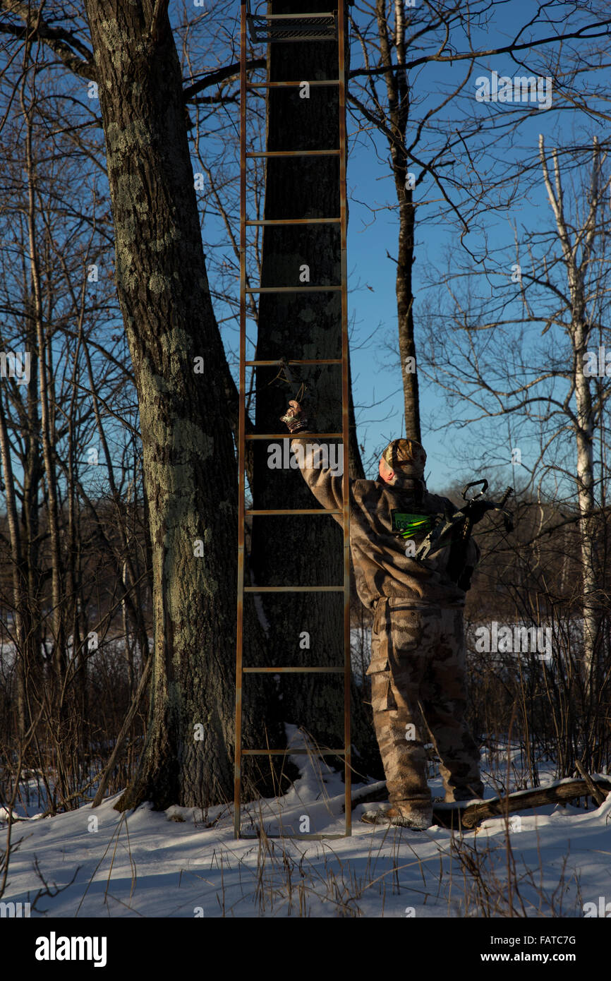 Hunter attaching crossbow to pull up rope Stock Photo - Alamy