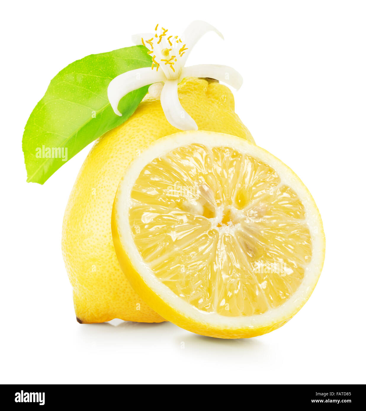 lemons with lemon flowers isolated on the white background. Stock Photo