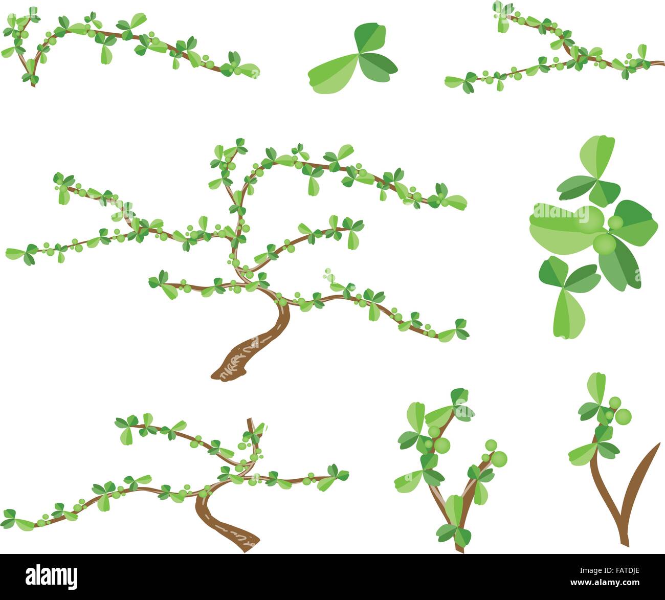 Bonsai Tree, An Illustration Collection Landscaping Tree Symbols or Isometric Trees and Plantsof Carmona Retusa (Vahl) Masam Pla Stock Vector
