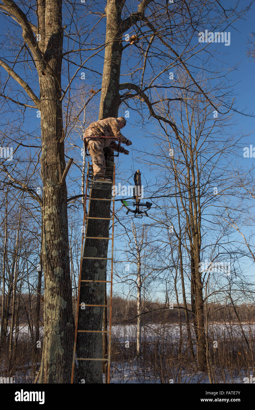 Hunter using a pull up cord to retrieve his crossbow Stock Photo