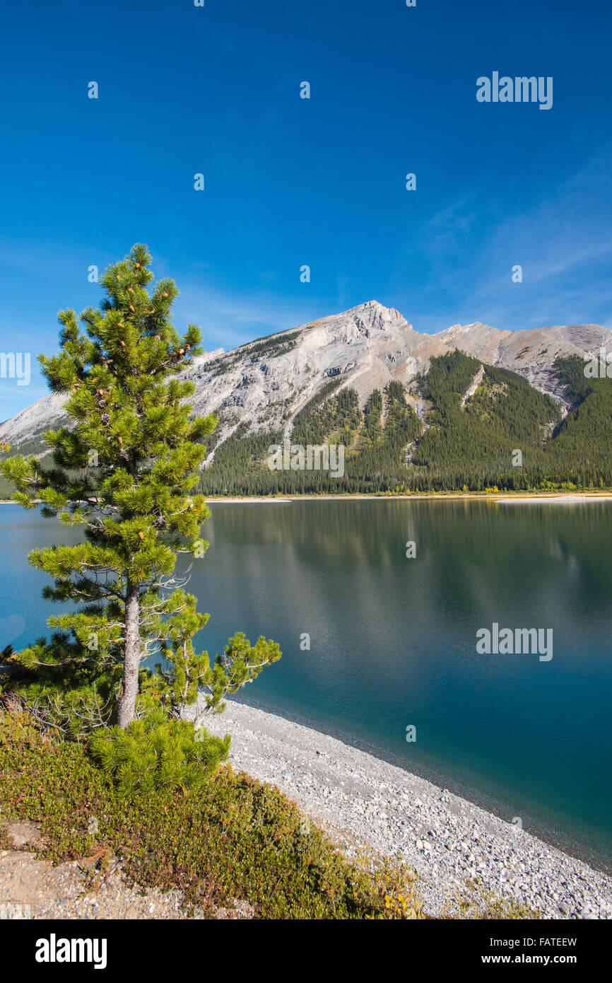 Scenic Spray Lakes in the summer, Kananaskis Country Alberta Canada Stock Photo